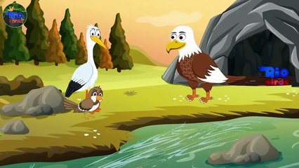 কিং কোবরা বাজপাখি কে গিলে খেলো Saap o Baaj Pakhi _ Thakumar Jhuli TunTuni Bangla Cartoon Fairy Tales