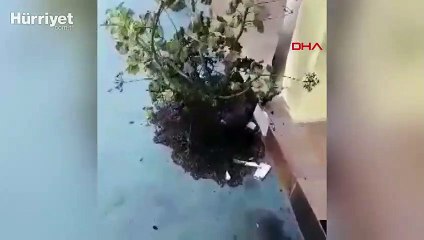 Güney Kıbrıs'ta bulunan Köprülü Camisi'ne çirkin saldırı