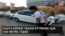 Hasta köpeği tedavi ettirmek için 500 metre sırtında taşıdı