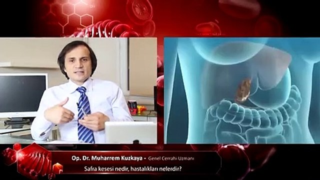 Safra kesesi nedir hastalıkları nelerdir?