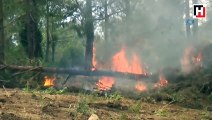 Hatay’daki orman yangınını söndürme çalışmaları devam ediyor