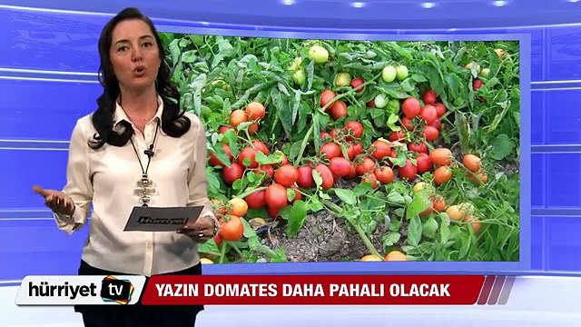 HABER BÜLTENİ - 8 MAYIS HABERLERİ