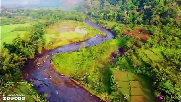 Musique relaxante pour reposer l'esprit, le stress, l'anxiété. méditation, relaxation et sommeil