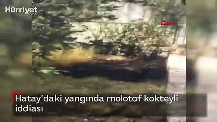 Hatay'daki yangında molotof kokteyli iddiası