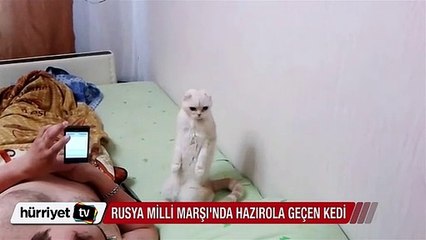 Rusya Milli Marşı'nda hazır ola geçen kedi