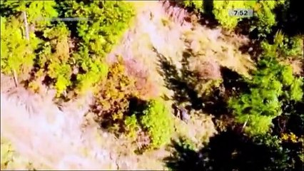 Uzaktan kumandalı helikopter koça fazla yaklaşınca bunlar oldu