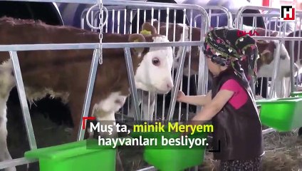 Minik Meryem'in hayvan sevgisi