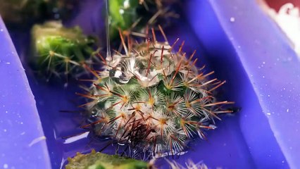 Amazing DIY Ideas From Epoxy Resin