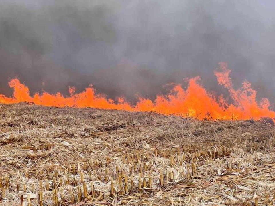 Mardin haberleri... Mardin'de anız yangını... Gökyüzü dumana büründü
