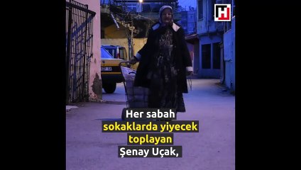 Sahipsiz hayvanları 30 yıldır besliyor