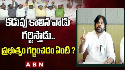 కడుపు కాలిన వాడు గర్జిస్తాడు.. ప్రభుత్వం గర్జించడం ఏంటి ? || Pawan kalyan || ABN Telugu