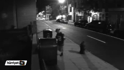 HitchBOT'a saldırı anı kamerada