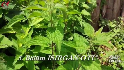 Lüks rezidans alevlere teslim oldu