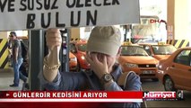 ATATÜRK HAVALİMANI'NDA 5 GÜNDÜR KEDİSİNİ ARIYOR