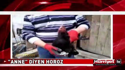 TAM KESİLECEKKEN ÖYLE BİR ŞEY DEDİ Kİ..