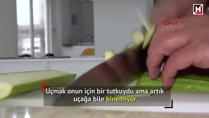 Hayatının anlamı hosteslik, uçak kazasından sonra kabusu oldu
