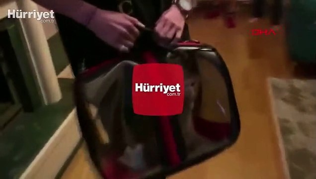 Sosyal medya fenomeni Meriç İzgi'ye, yasa dışı hayvan edinme operasyonu