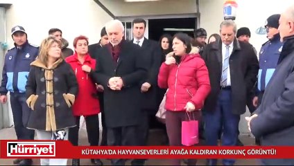Kütahya'da hayvanseverleri ayağa kaldıran korkunç görüntü!