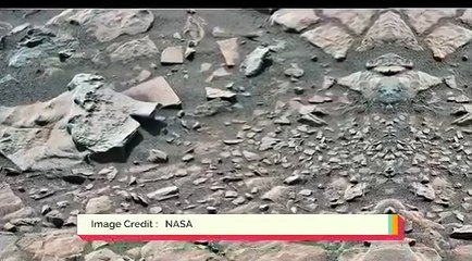 Petrified Faces and Figures on Mars