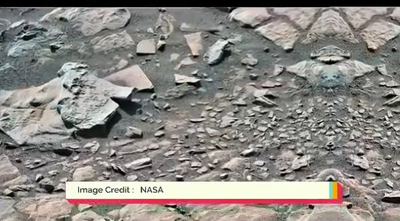 Petrified Faces and Figures on Mars