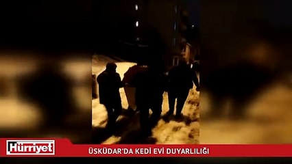 Üsküdar Belediyesi'nden yeni kedi evi