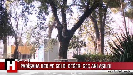 PADİŞAHA HEDİYE GELMİŞTİ..!! DEĞERİNİ YENİ ANLADILAR..!!