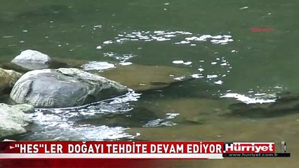 KATARAHTE DERESİ BEYAZ LEKELERLE KAPLANDI