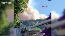 Son dakika... İstanbul Heybeliada'da orman yangını