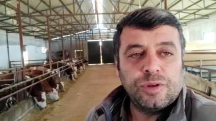 Et ve süt üreticileri bugün grev yapacağını duyurdu: “İki yıl önce ‘Gıda krizi geliyor’ dedik, kimse bizi dinlemedi; hakkımızı arıyoruz"