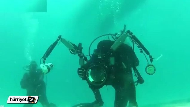 Köpek balığı saldırısında nasıl hayatta kalınır?