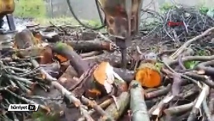 Rize işi odun kırma
