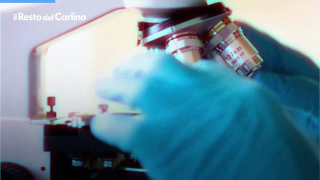 Listeria, che cos'è e quali sono rischi e sintomi del batterio che ha fatto scattare l'allarme