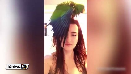 Papağan Oliver'ın sabah keyfi