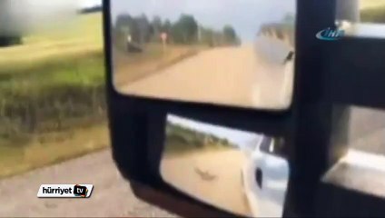 Kamyon şoförünün kaz ile imtihanı