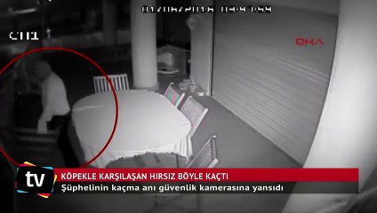 Villanın salonunda köpekle karşılaşan hırsız böyle kaçtı