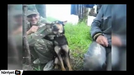 Ayakta uyuyan köpek herkesi güldürdü