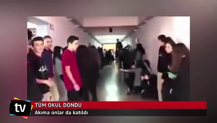 'Mannequin Challenge' akımına tüm okul katıldı
