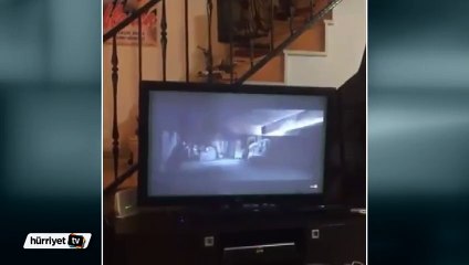 Korku filminden korkan köpeğin sevimli tepkisi