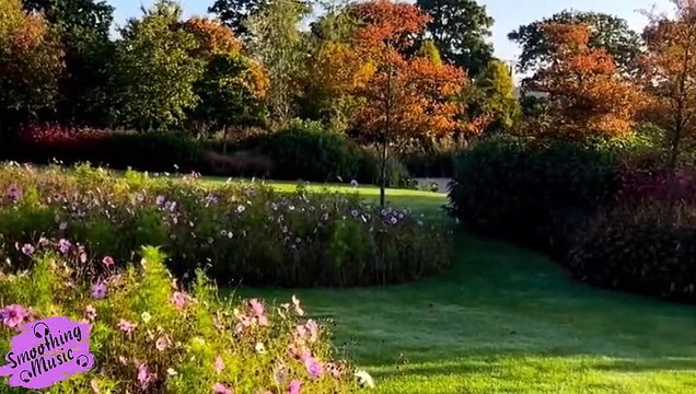 Relaxing Music Healing Stress, Anxiety and Depressive States Heal Mind, Body and Soul ||Morning Music