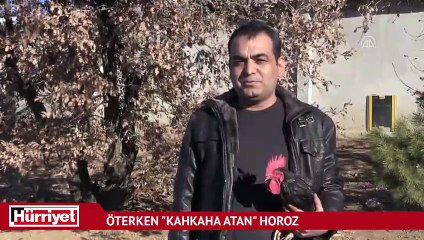 Öterken "kahkaha atan" horoz