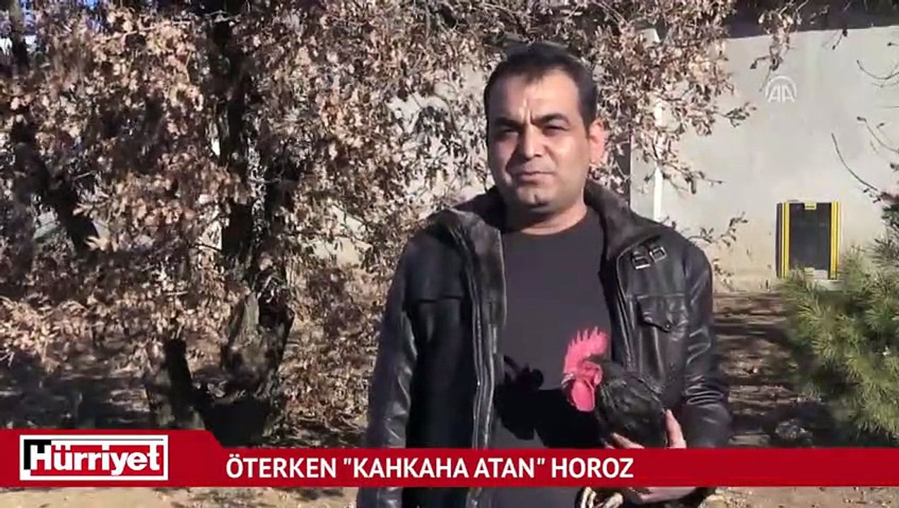 Öterken "kahkaha atan" horoz