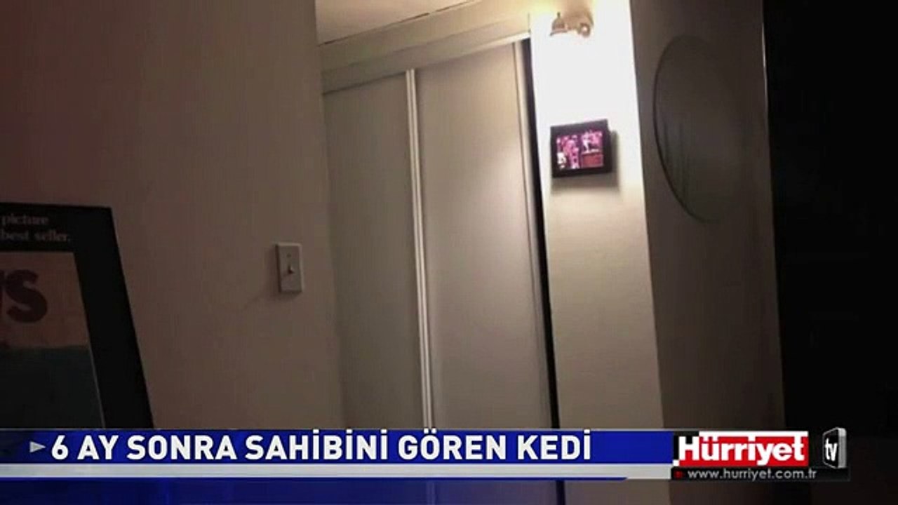 6 AY SONRA SAHİBİNİ GÖREN KEDİ