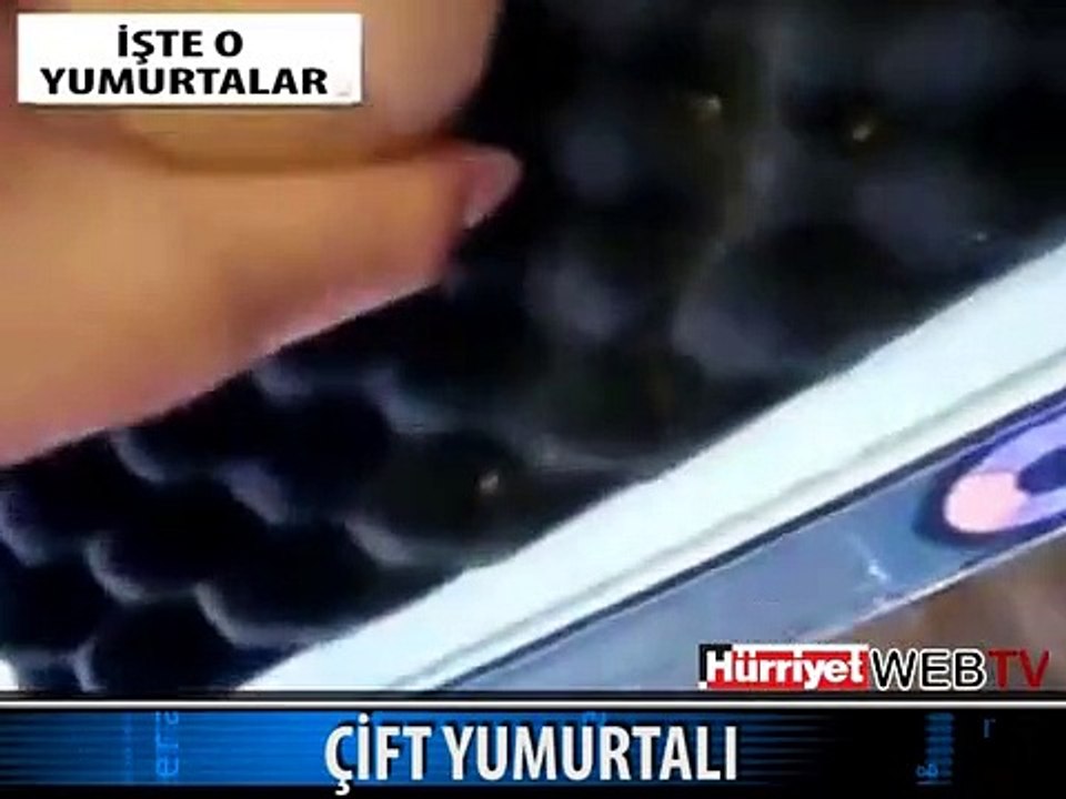 YUMURTADAN YUMURTA BÖYLE ÇIKTI