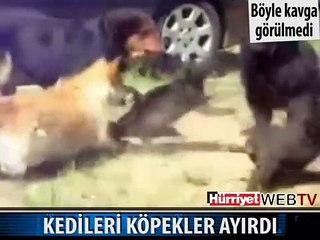 GÖZLERİNİZE İNANAMAYACAKSINIZ