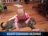 KEDİYİ CANINDAN BEZDİRMEK İÇİN HER ŞEYİ YAPTI