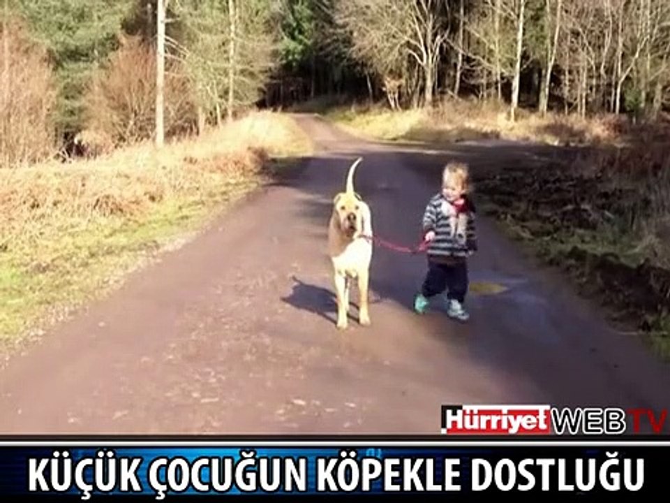 ARKADAŞIM KÖPEK