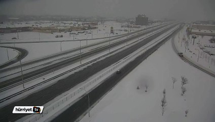 Görüntüsüyle büyüleyen kar baykuşu kameraya takıldı