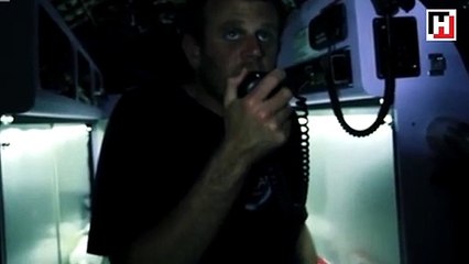 Köpekbalığı belgeselcilere saldırdı!