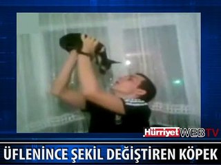ÜFLENİNCE ŞEKİL DEĞİŞTİREN KÖPEK