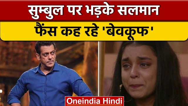 Bigg Boss 16: Sumbul से निराश हुए Salman Khan से लेकर फैंस, कह रहे 'बेवकूफ' | वनइंडिया हिंदी | BB16